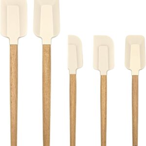 5-Pcs Wooden Handle Silicone Spatula Set
